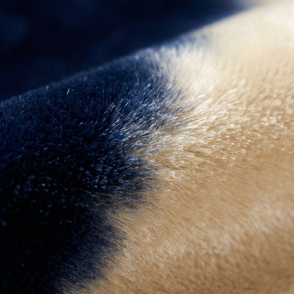 Close-up of navy and cream silk velvet ikat weave